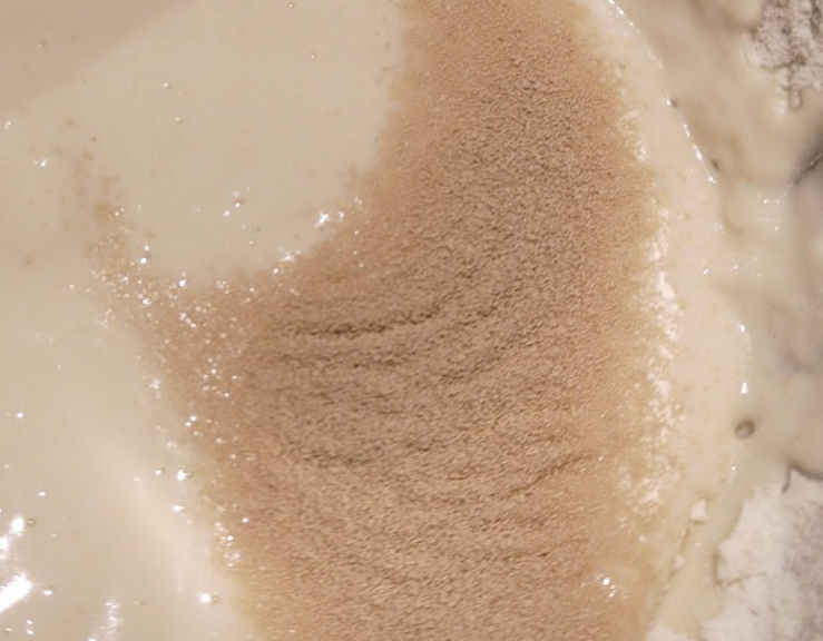yeast