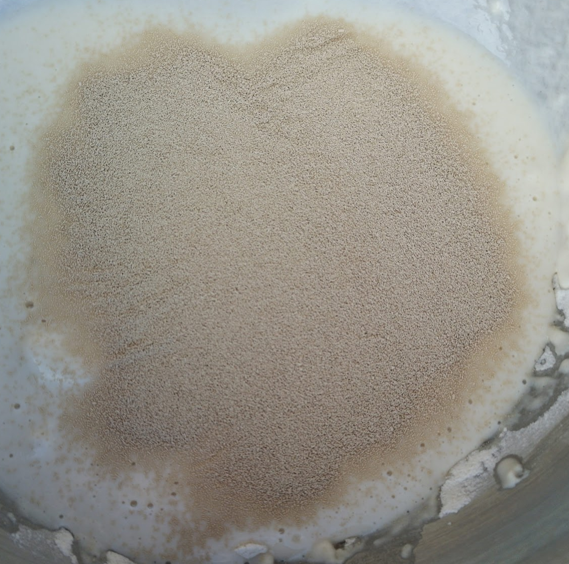 yeast